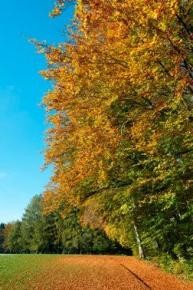 Individuelle Tourenplanung möglich - hier klicken Individuelle Tourenplanung möglich - hier klicken