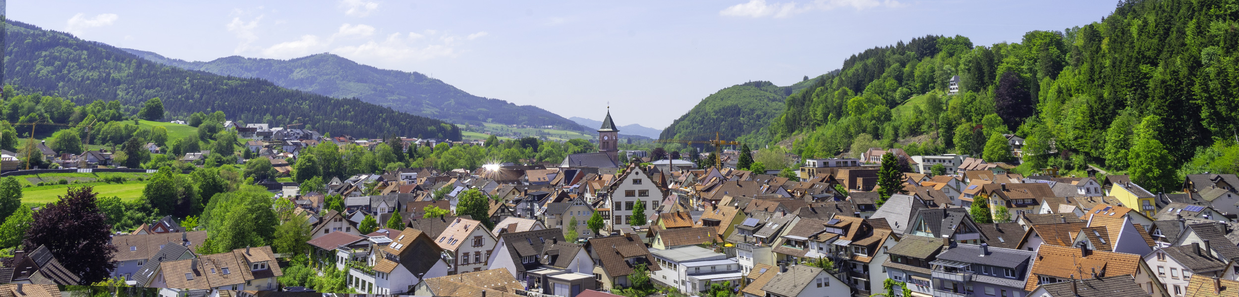 Stadtbild Elzach
