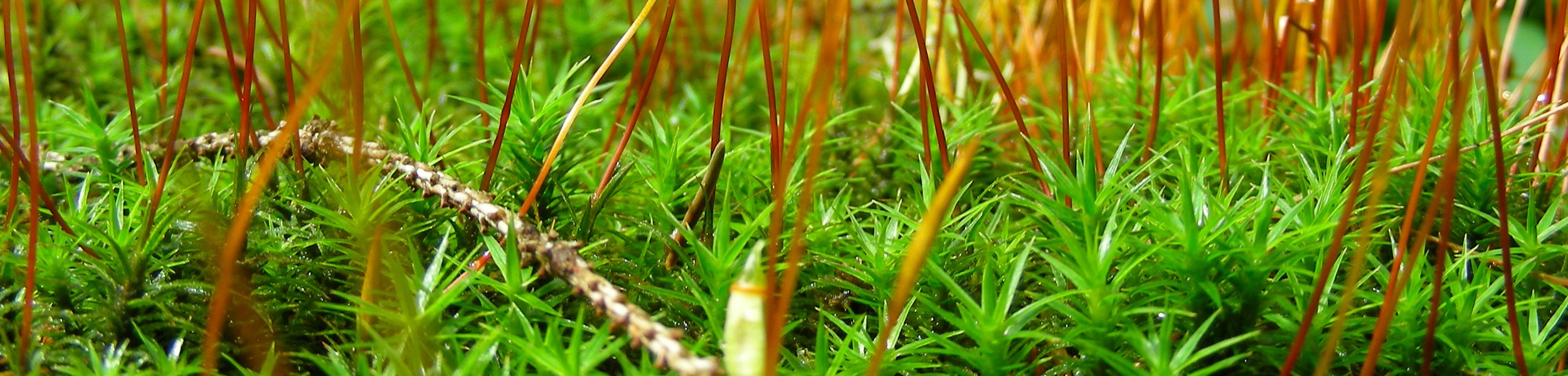 Foto: Joachim Nock Foto: Joachim Nock